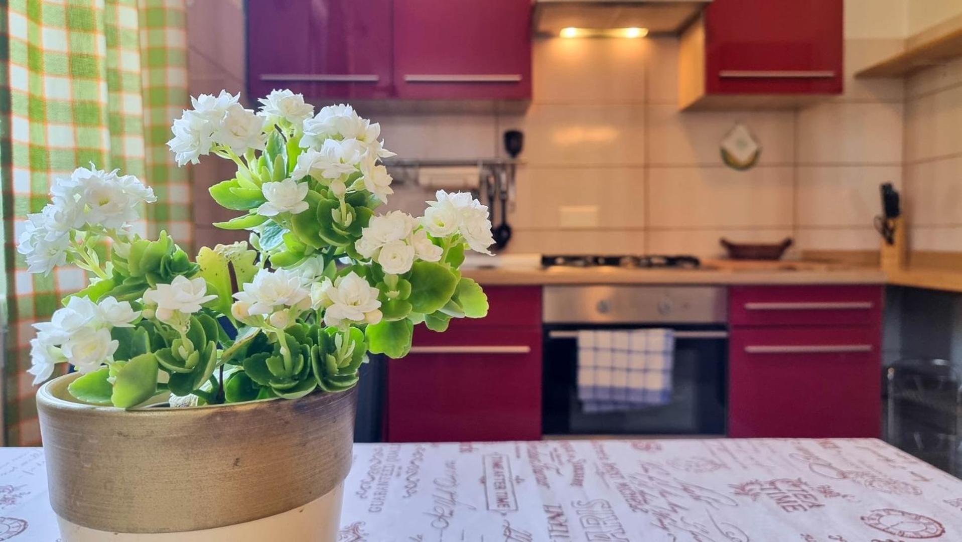Mirjana Four Daire Novigrad Istria Dış mekan fotoğraf