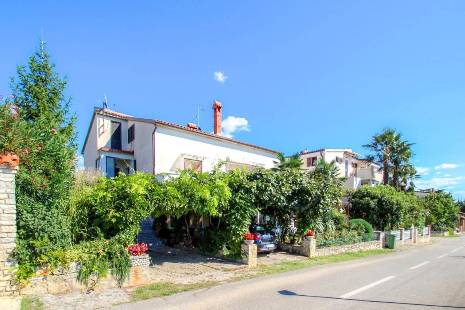 Mirjana Four Daire Novigrad Istria Dış mekan fotoğraf